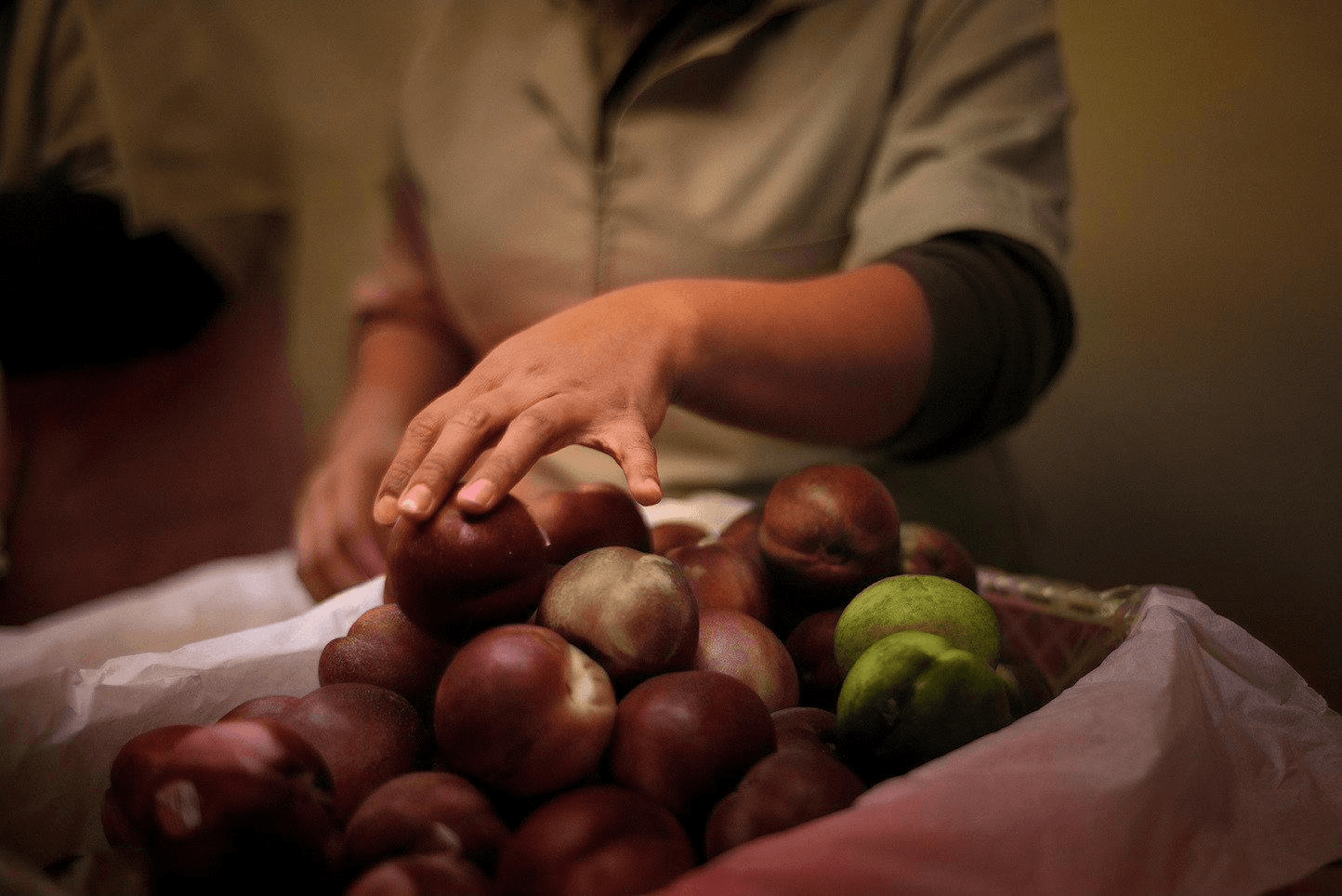 Grupo Tarahumara Login Background